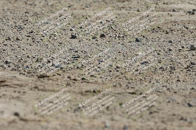 media/Apr-25-2025-BRL Bagger Racing League (Fri) [[6011495a33]]/1-Open Practice (9am-12pm)/1- (9am -10am)/